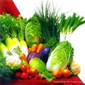 Fresh Vegetables 1