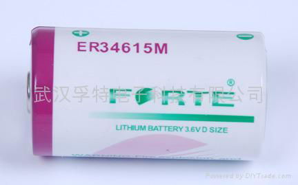 ER14250 ER14250M 1/2AA size 2