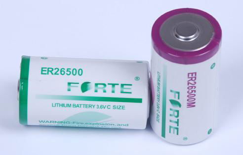 3.6V ER26500 ER26500M (China Manufacturer) - Battery, Storage Battery ...