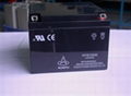 VRLA battery(12V24AH)