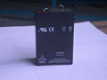 VRLA battery(6V4.0AH) 1