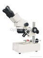 Stereozoom Binocular Microscope