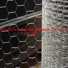 Hexagonal Wire Mesh