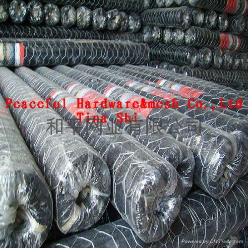 Hexagonal Wire Mesh 2