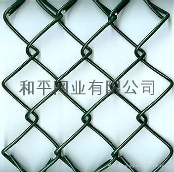 Chain link netting 4