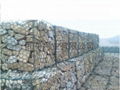 gabion mesh box 3