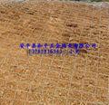 diamond wire mesh 1