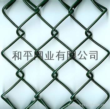 diamond wire mesh 2