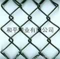 diamond wire mesh 2