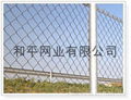 diamond wire mesh 4