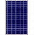 太陽能電池(單晶)
