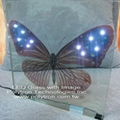 LED Glass With Printed Image 1