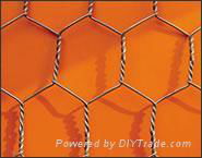 Hexagonal wire mesh