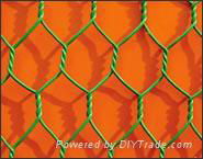 Hexagonal wire mesh 2