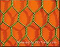 Hexagonal wire mesh 2