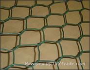 Hexagonal wire mesh 3