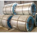 Hot Dipped Galvanised Steel Coils