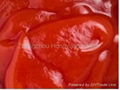 canned tomato paste 1