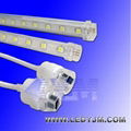 LED T5 Tube 3