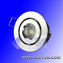 LED Down Light