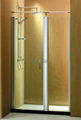 shower door  2