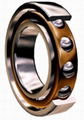 Deep Groove Ball Bearings 1