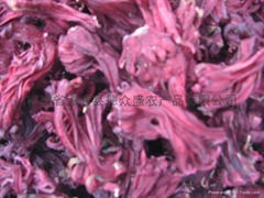 玫瑰茄hibiscus