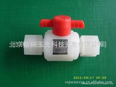 PVDF  valve