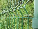 pvc fence /wire mesh fence/wire mesh netting 5