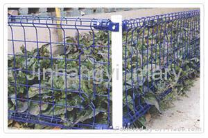 fence/wire mesh fence/wire mesh netting 3