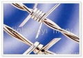 barbed wire / fence / wire mesh netting