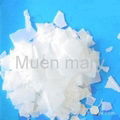 Caustic soda (Sodium hydroxide) 1