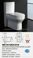 Sanitary Ware Toilet