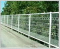 Wire Mesh Fence