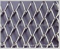 Chain Link Fence 1