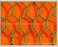 Hexagonal Wire Netting  1