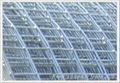 welded wire mesh  4