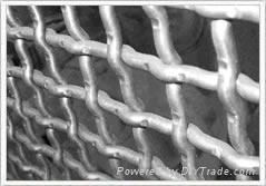 crimped wire mesh 2