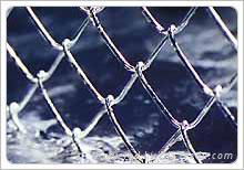 Chain Link Fencing 3