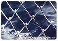 Chain Link Fencing 3