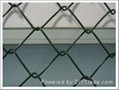 Chain Link Fencing 4