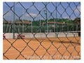 fencing wire mesh 3