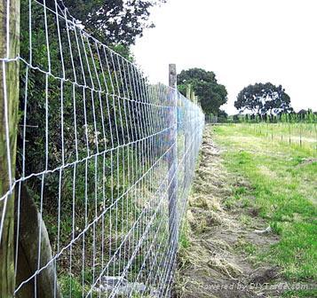 Grassland fence 5