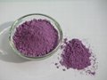 Glaze ceramic stain purple