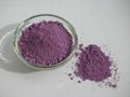 Glaze ceramic stain purple 2