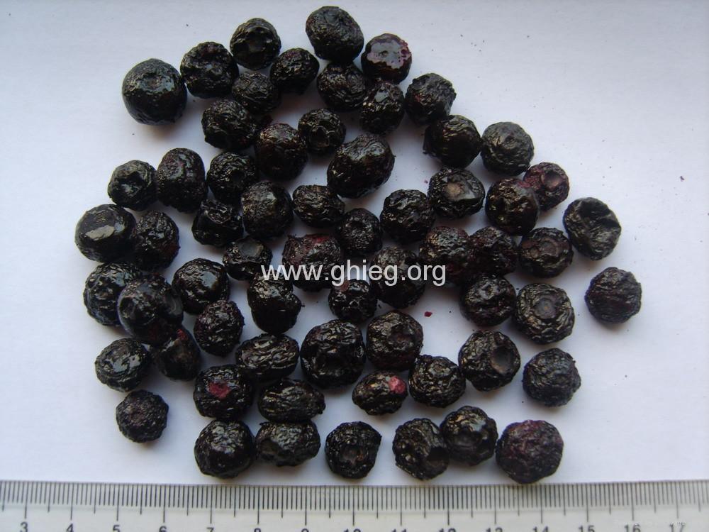 freeze dried fruits (FD fruits) Golden Harvest (China Manufacturer) Other Processed Food
