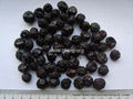 freeze dried blueberry (FD blueberry) 1