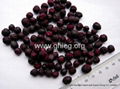 freeze dried blueberry (FD blueberry) 2