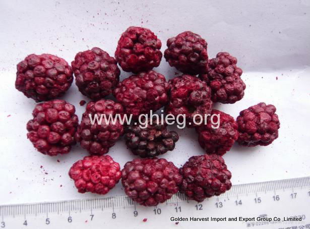 freeze dried blackberry (FD blackberry)