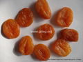 dried apricot